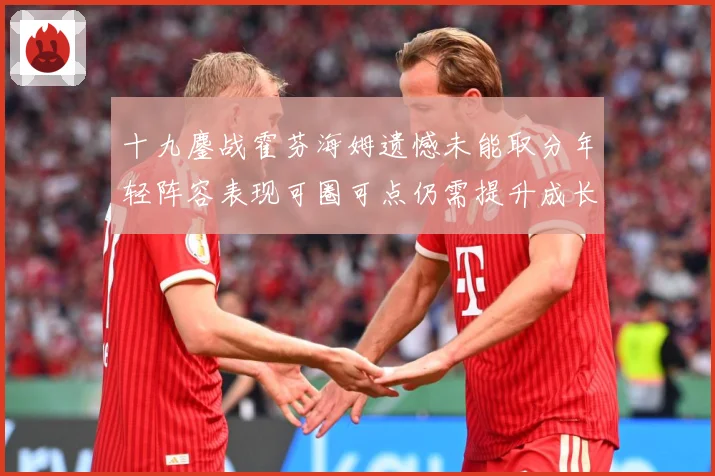 十九鏖战霍芬海姆遗憾未能取分年轻阵容表现可圈可点仍需提升成长观察-深度解析