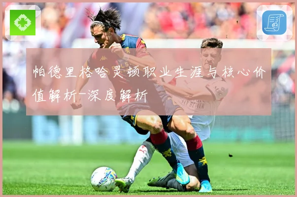 帕德里格哈灵顿职业生涯与核心价值解析-深度解析